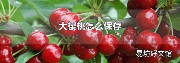 大樱桃怎么保存