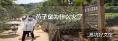 燕子窠为什么火了