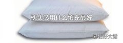 枕头芯用什么填充最好
