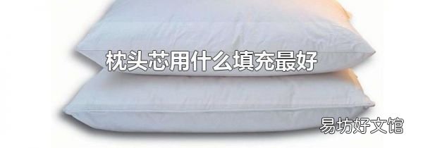 枕头芯用什么填充最好