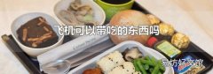 飞机可以带吃的东西吗