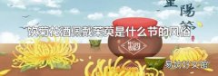 饮菊花酒佩戴茱萸是什么节的风俗