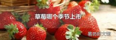 草莓哪个季节上市