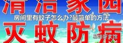 房间里有蚊子怎么办?最简单的方法
