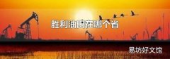 胜利油田在哪个省