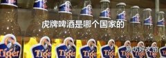 虎牌啤酒是哪个国家的