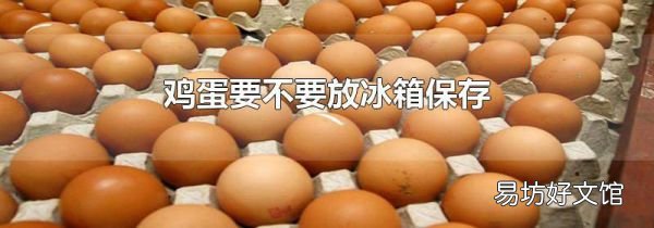鸡蛋要不要放冰箱保存