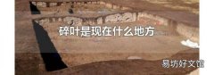 碎叶是现在什么地方