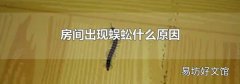 房间出现蜈蚣什么原因