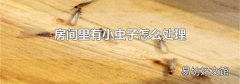 房间里有小虫子怎么处理