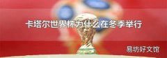 卡塔尔世界杯为什么在冬季举行