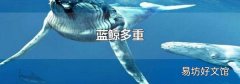 蓝鲸多重