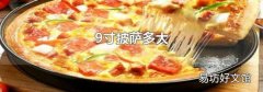 9寸披萨多大