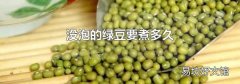 没泡的绿豆要煮多久