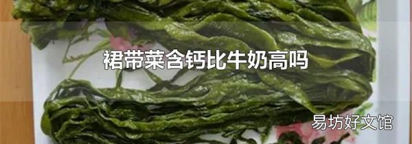 裙带菜含钙比牛奶高吗