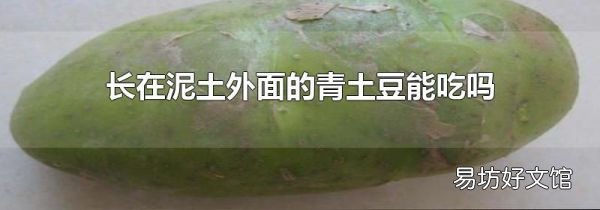 长在泥土外面的青土豆能吃吗