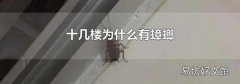 十几楼为什么有蟑螂