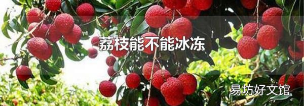 荔枝能不能冰冻
