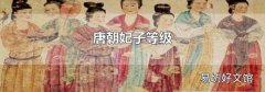 唐朝妃子等级