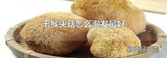 干猴头菇怎么泡发最好