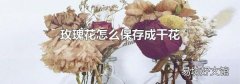 玫瑰花怎么保存成干花