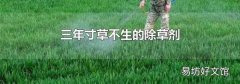 三年寸草不生的除草剂