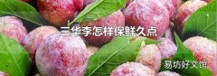 三华李怎样保鲜久点