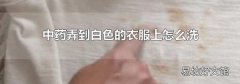 中药弄到白色的衣服上怎么洗