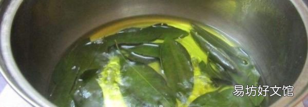 桔子叶子煮水的功效与作用