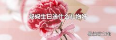 妈妈生日送什么礼物好