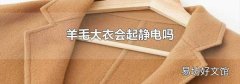 羊毛大衣会起静电吗