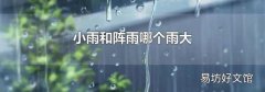 小雨和阵雨哪个雨大