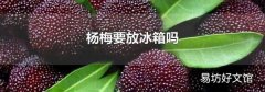 杨梅要放冰箱吗