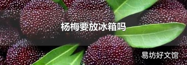 杨梅要放冰箱吗