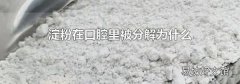 淀粉在口腔里被分解为什么