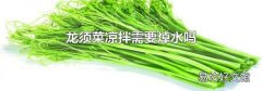 龙须菜凉拌需要焯水吗