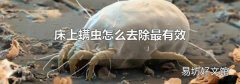 床上螨虫怎么去除最有效