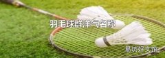 羽毛球群洋气名称