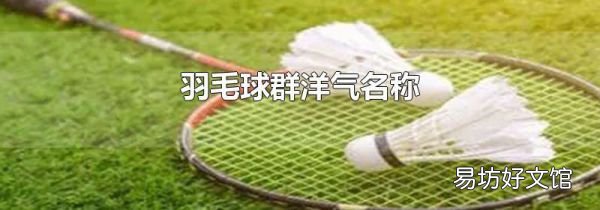 羽毛球群洋气名称