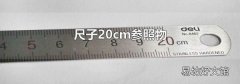 尺子20cm参照物