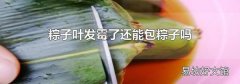 粽子叶发霉了还能包粽子吗