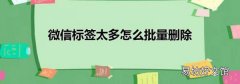 微信标签太多怎么批量删除