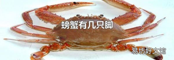 螃蟹有几只脚