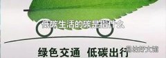 低碳生活的碳是指什么