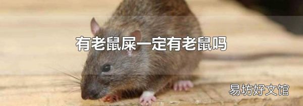 有老鼠屎一定有老鼠吗