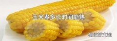 玉米煮多长时间能熟