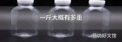 一斤大概有多重