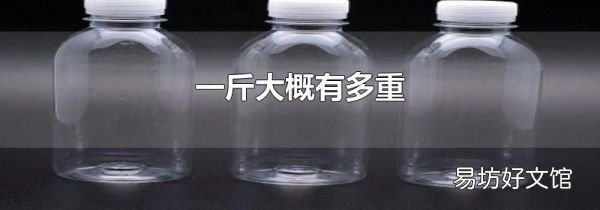 一斤大概有多重