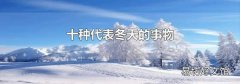 十种代表冬天的事物