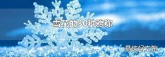 雪花的30种雅称